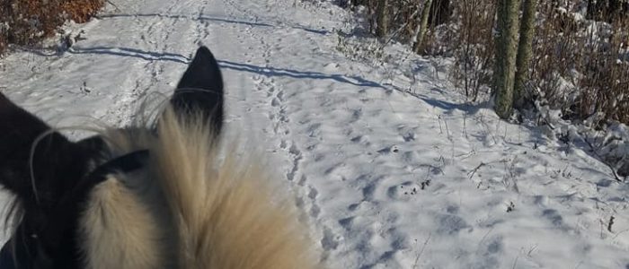 View of horseback rider on a snowy path